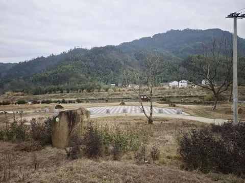 回乡路上的山