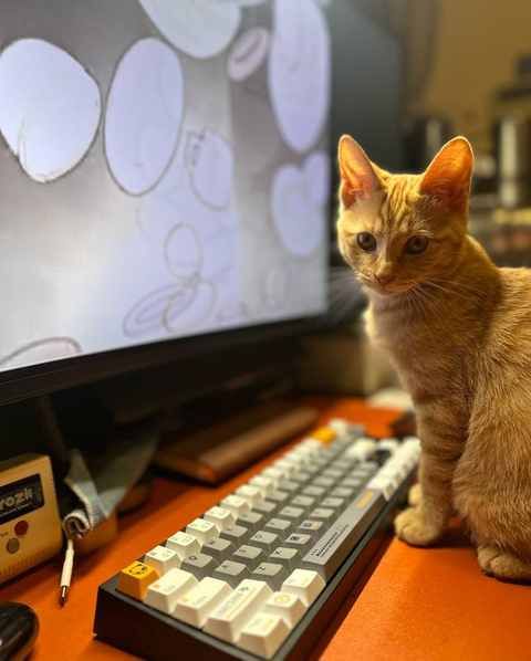 写稿时的监工